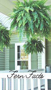 Sutherlands Blog Image